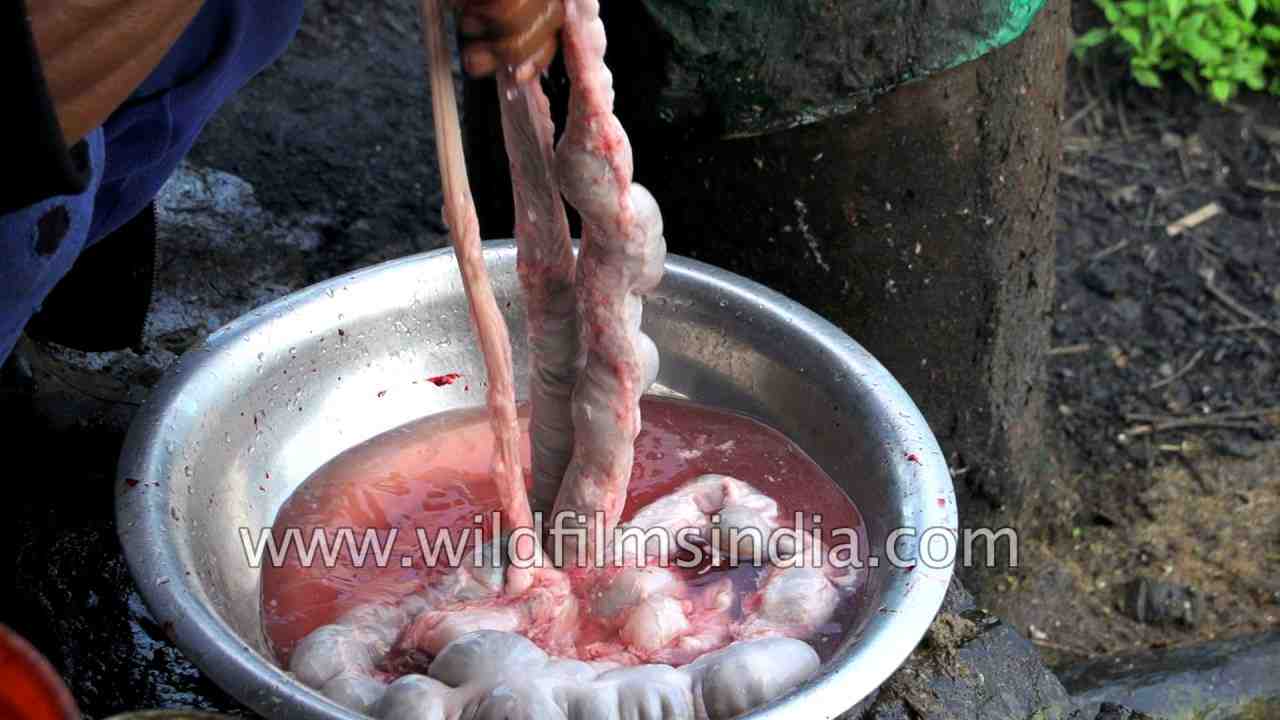 Can you use pig intestines for sausage?