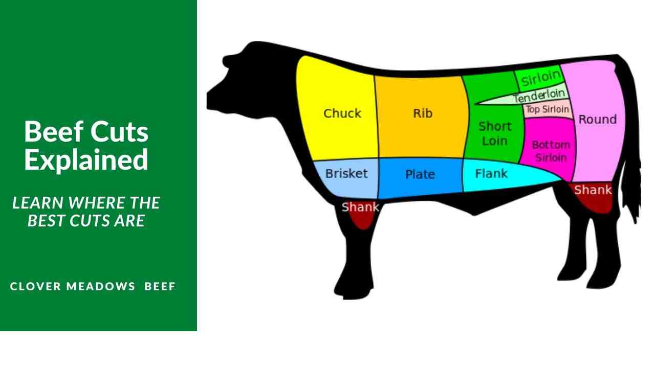 Is the beef we eat cow or bull?
