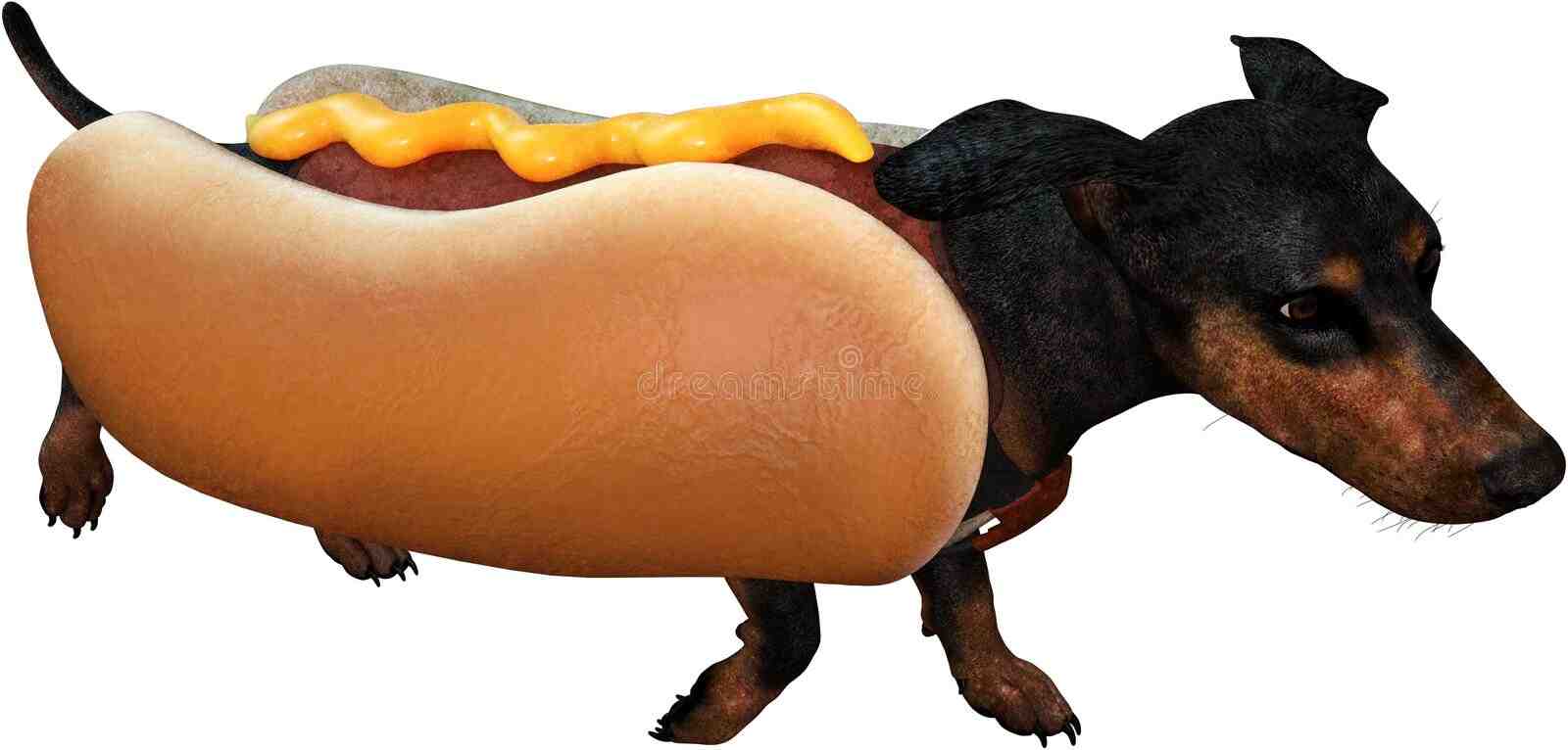 What are the ingredients inside a hot dog?