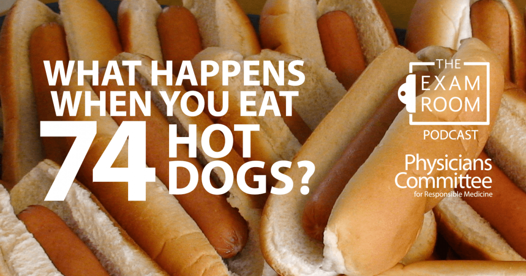 What happens if a dog eats hot dogs?
