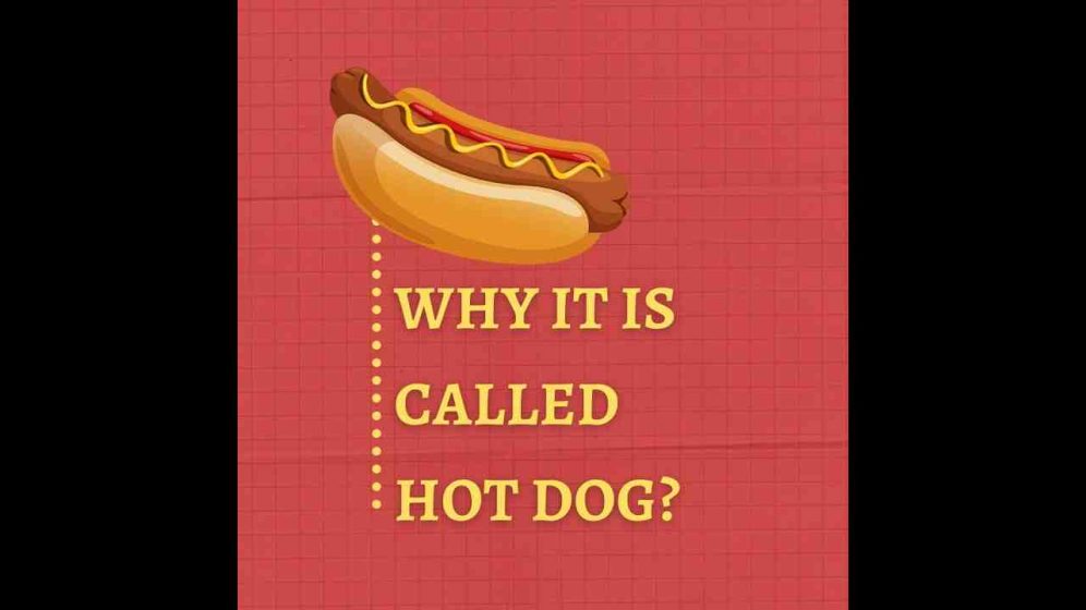 Why is a hot dog called a hot dog?
