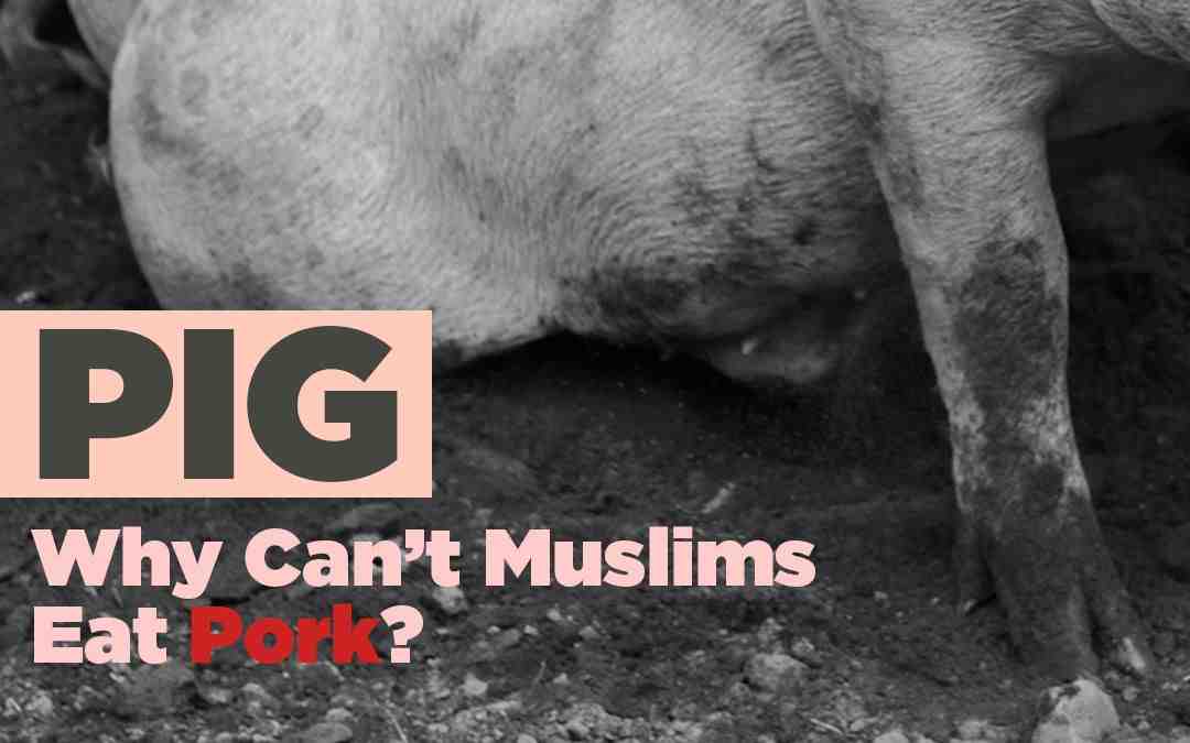 Can Muslims touch pork?