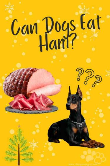 Can dogs eat ham?