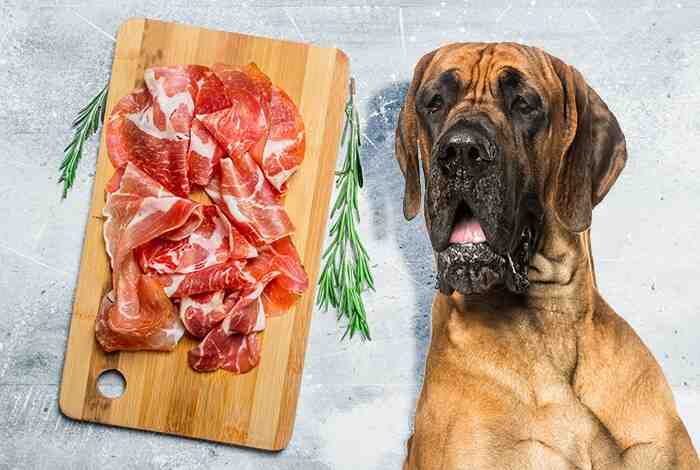 Can dogs eat meat that was cooked with onions?