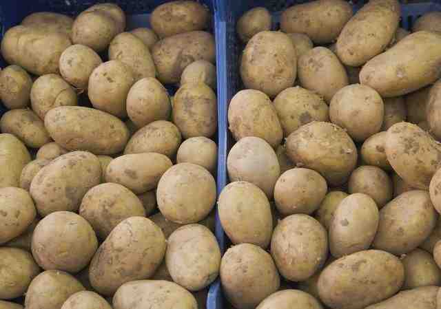 How can you tell if potatoes are poisonous?