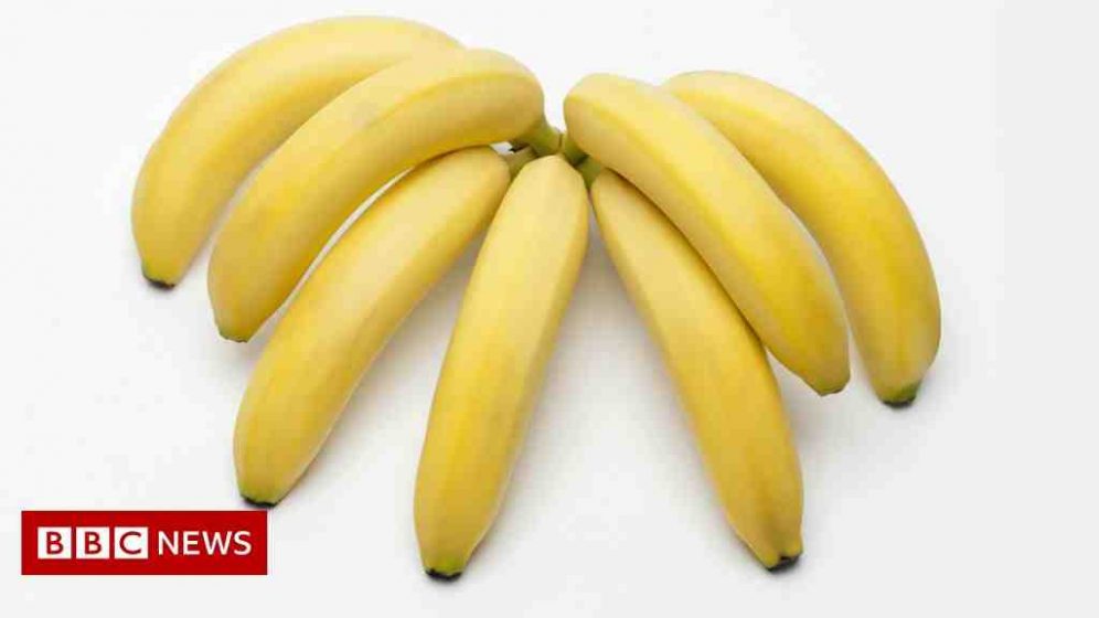 How similar are humans to bananas?