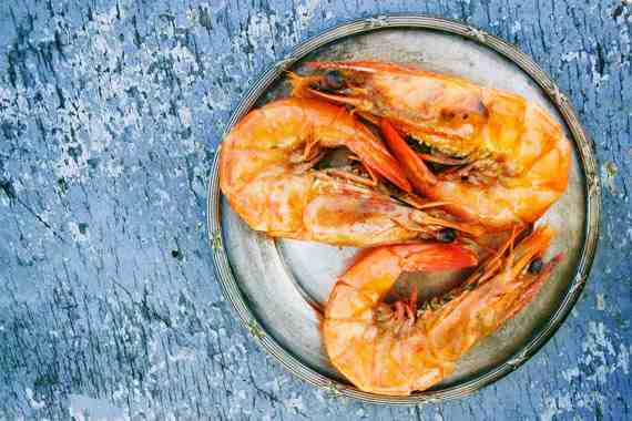Is eating shrimp cruel?