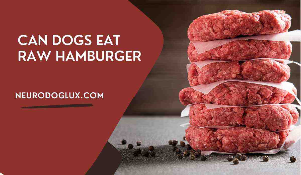 Is ground beef safe to eat raw?