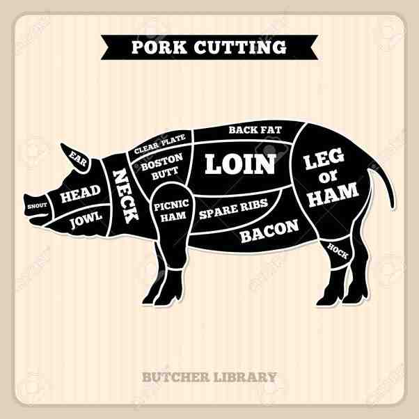 Is pig a pork?