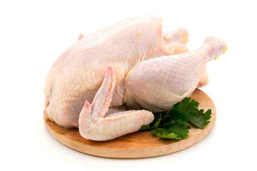 Is white meat chicken good for weight loss?