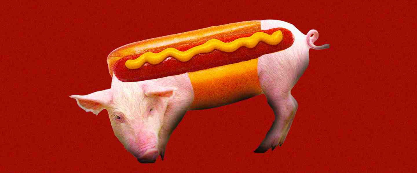 What are hot dogs made of UK?
