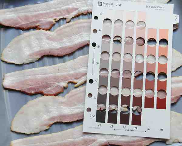 What happens if you eat slightly undercooked bacon?