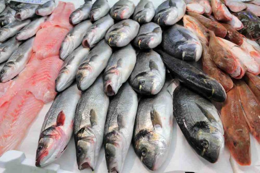 What is the healthiest fish?