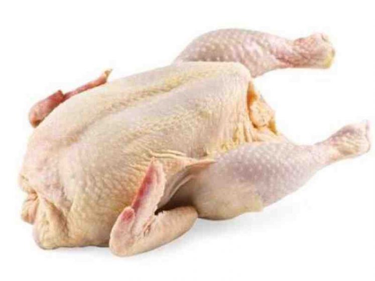 What is turkey meat made of?