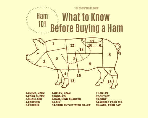Is ham cow or pig?