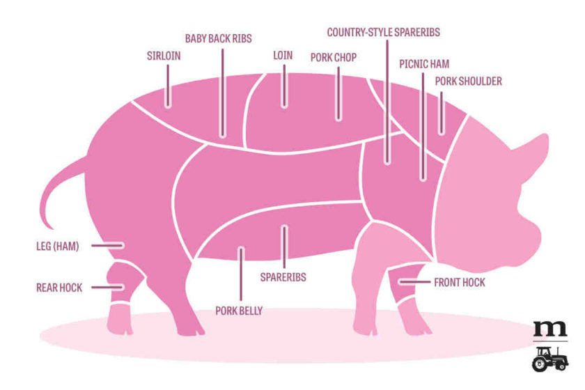 Is ham pig or cow?