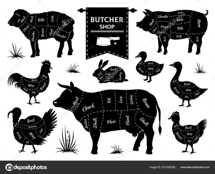 Which animals meat is ham?